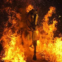 ep.86 Adrenaline fire
