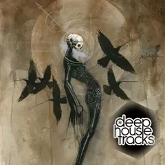 DeepHouseTracks Podcast #045 (May 2017)