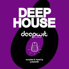 Deep House Label Showcase: DeepWit #6