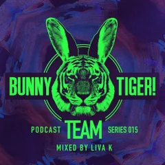 Bunny Tiger Team Podcast #015