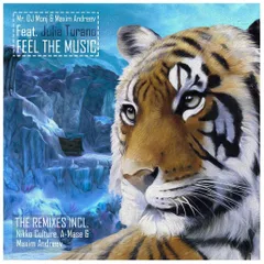 Feel The Music