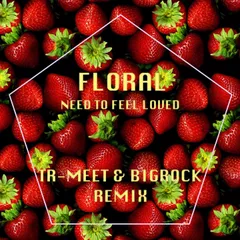 Floral - Need To Feel Loved (Tr-Meet & BigRock Remix) [2017]