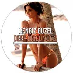 Deep Disco vol.2