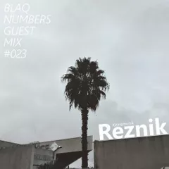 Blaq Numbers Guest Mix #023