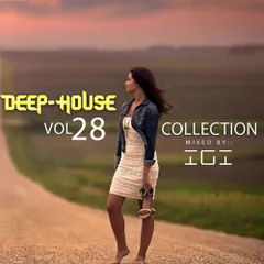 Deep House Collection vol.28