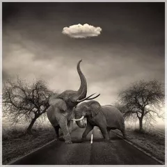 Symphonie d'Afrique