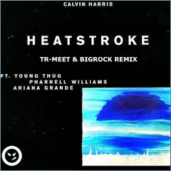 Calvin Harris feat. Young Thug, Pharrell Williams & Ariana Grande - Heatstroke (Tr-Meet & BigRock Remix) [2017]