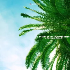 Natural Feelings #12