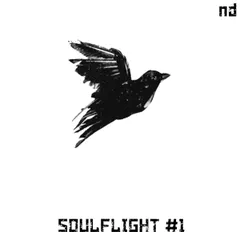 SOULFLIGHT #1 \LiveMix\