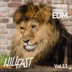 Will Fast - Podcast Lion Music Vol.11