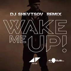 Avicii feat. Aloe Blacc - Wake Me Up (DJ Shevtsov Remix)