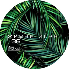 Живая Игра /Выпуск 36