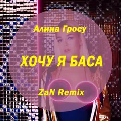Алина Гросу - Хочу я баса (ZaN Remix)