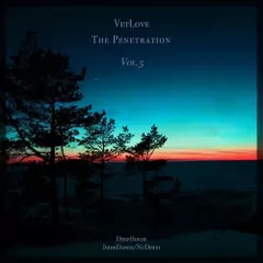 The Penetration vol.5 (Deep & IndieDance & NuDisco Mix)