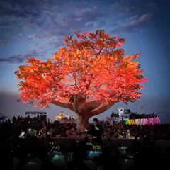 Tenere: Treescape [Burning Man 2017] 