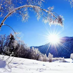 ep.115 Winter come back
