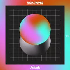 Hoa Tapes (Volume 10)