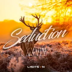 Seduction #29
