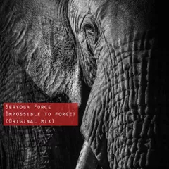 Seryoga Force - Impossible to forget (Original mix) 