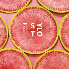 STYLO #6 (December 2017)