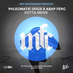 Phlegmatic Dogs x A$AP Ferg — Gotta Move (DJ Miller x DJ Alex Milano Bootymix)