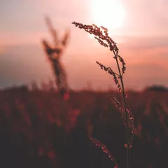 Mindfulness Episode 36 