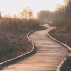Mindfulness Episode 35 