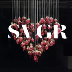 The Best Of SVGR 2017
