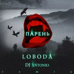 LOBODA - Парень (DJ Antonio Remix)
