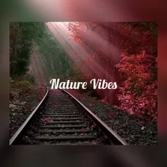 Exclusive House Music Selection