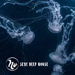 Beach Bar Music vol.07 (Webphre Radio Show)