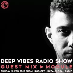 Deep Vibes Radio Show (18.02.2018)