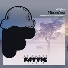 Wrigley - Missing You (Original Mix)