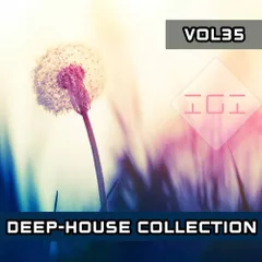 Deep House Collection vol.35