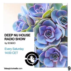 Deep Nu House Episode 009 (Ibiza Global Radio)
