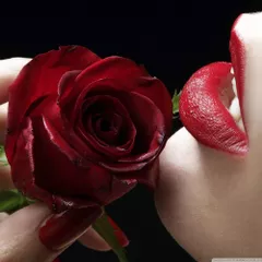 House Seduction vol. 46