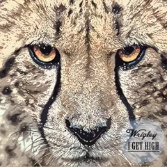 Wrigley - I Get High (Original Mix)