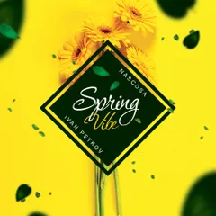 Spring Vibe 2018