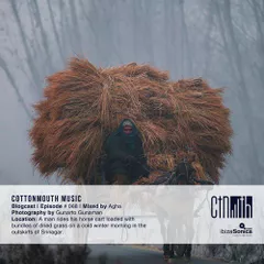 CTNMTH (BLOGCAST 068)
