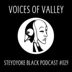 Steyoyoke Black Podcast #029