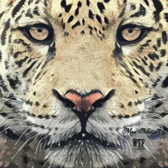 WTF (Original Mix)