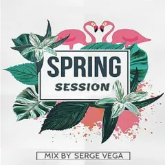 Spring Session