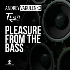 Andrey Vakulenko vs. Tiga — Pleasure From The Bass (2018 Mix)