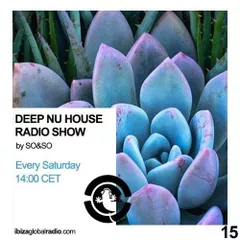 Deep Nu House Episode 015 (Ibiza Global Radio)