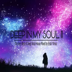 Deep In My Soul vol.11