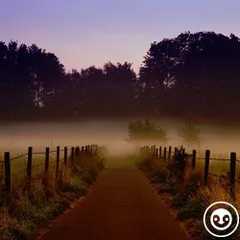 connecting with mother earth (deep story nr. 98) 
