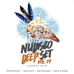 NUDISCO DEEP VOL.14 (SUMMER SET JUNE 2018) 