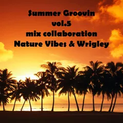 Summer Groovin' vol.5