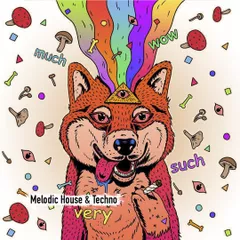 Melodic House & Techno 1