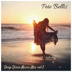 Deep Disco Music Mix vol.2